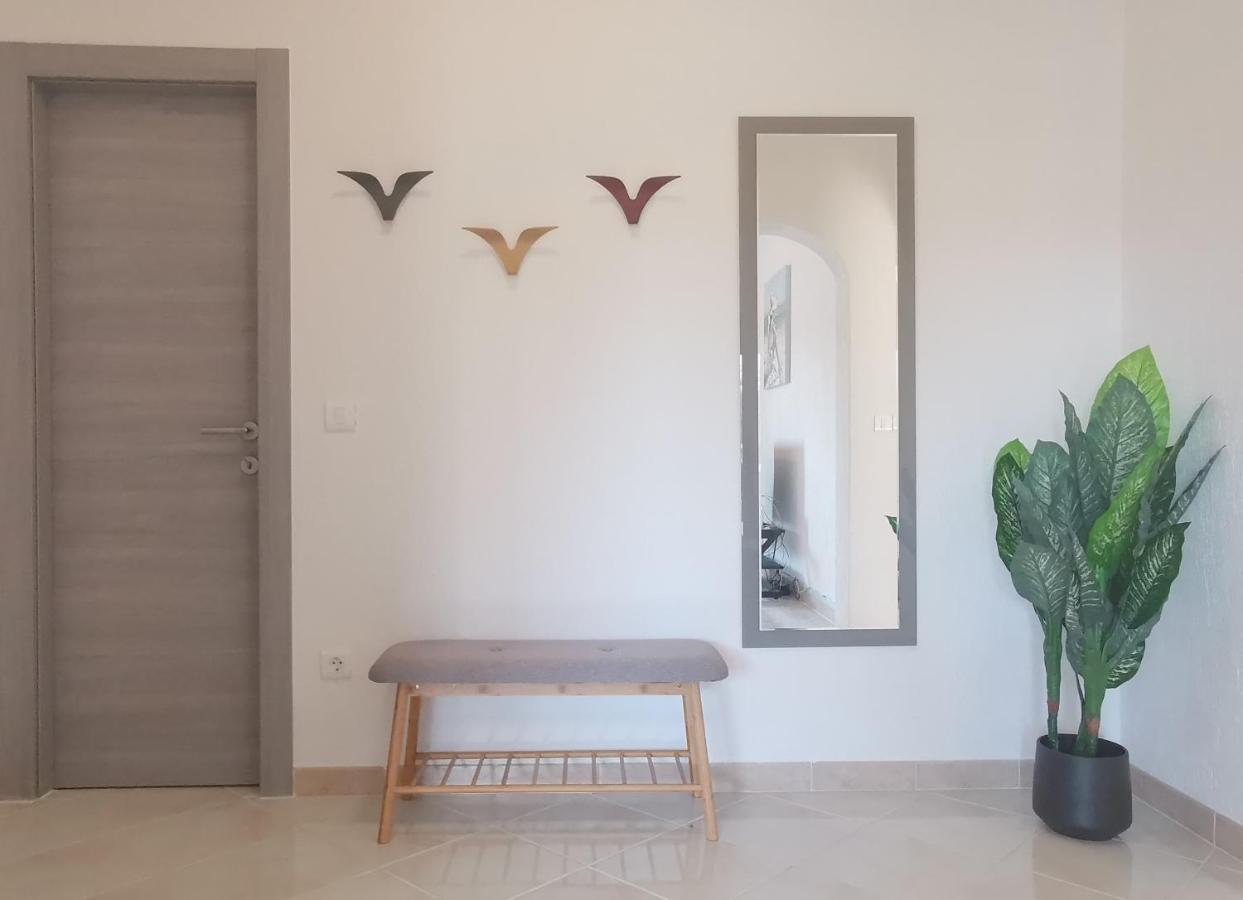 Apartment Pineta With Terrace & Park Wood View بولا المظهر الخارجي الصورة