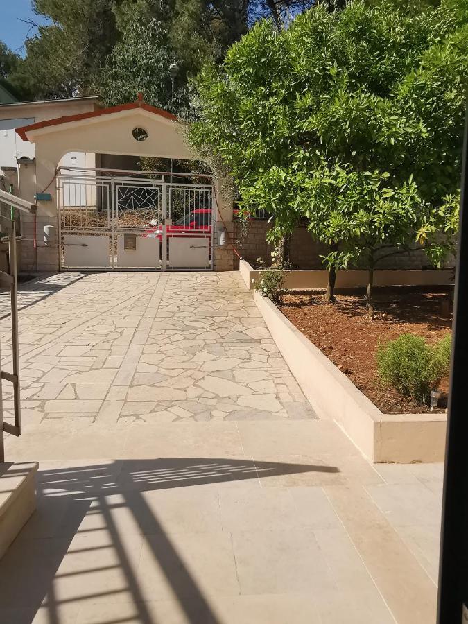 Apartment Pineta With Terrace & Park Wood View بولا المظهر الخارجي الصورة