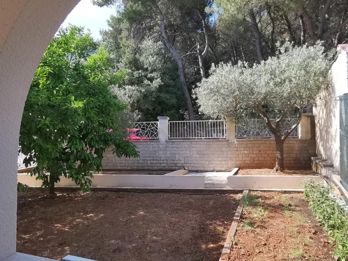 Apartment Pineta With Terrace & Park Wood View بولا المظهر الخارجي الصورة